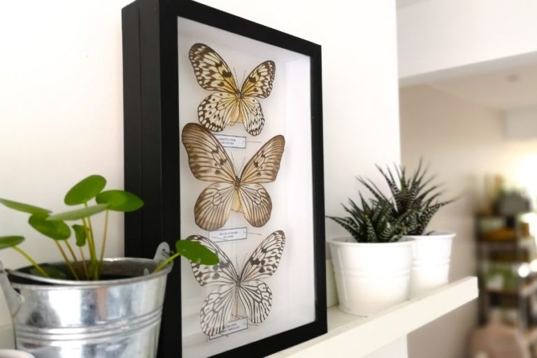 How To Make the Most Out of Floating Shelves in Your Home